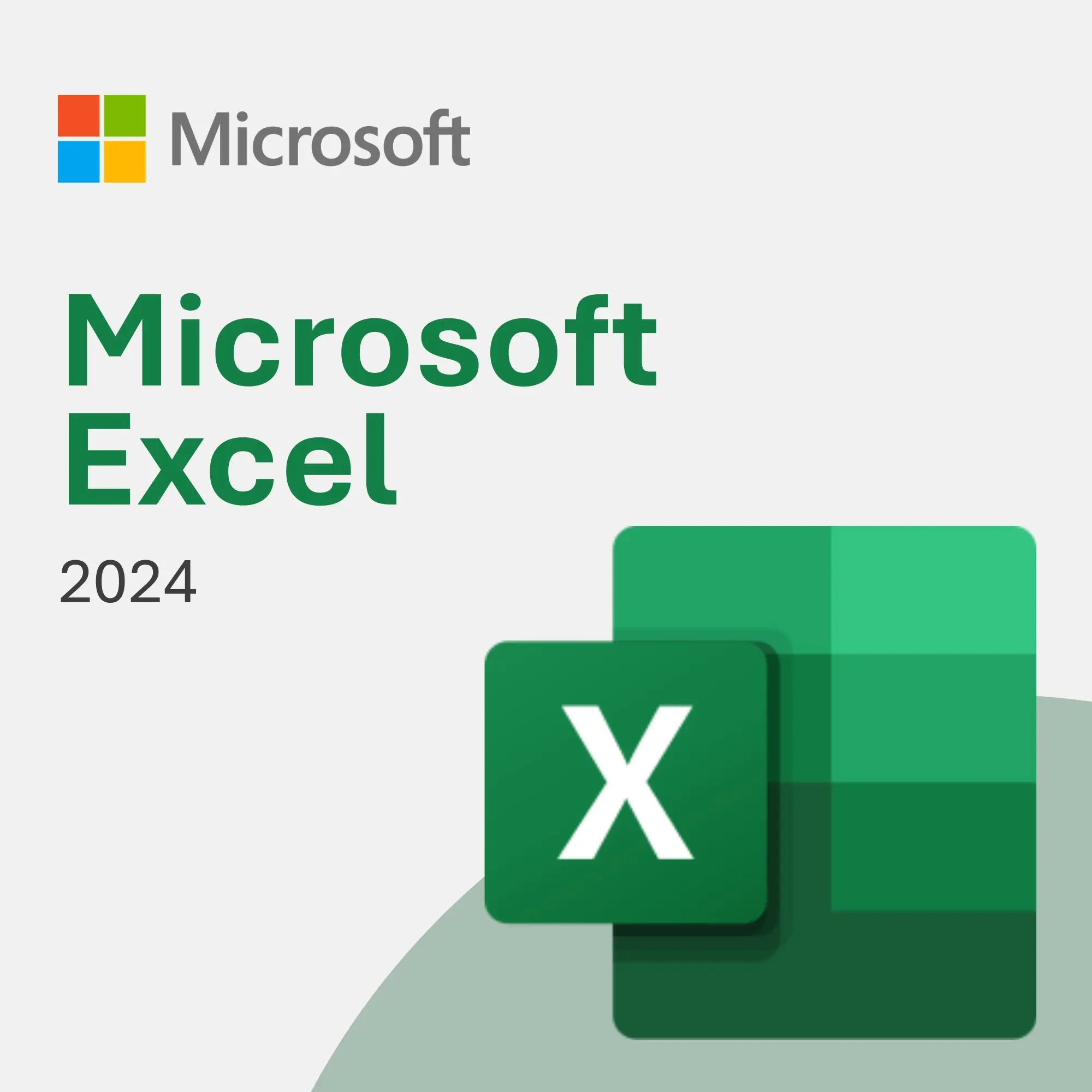Excel 2024 for 1 PC (Digital Delivery, Lifetime Access)